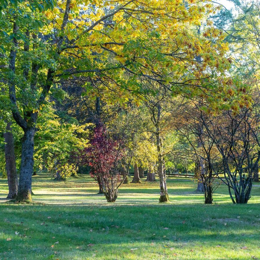 Ferienwohnung "Am Kurpark" Sankt Andreasberg Eksteriør billede