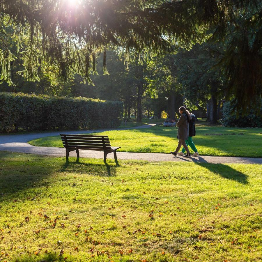 Ferienwohnung "Am Kurpark" Sankt Andreasberg Eksteriør billede